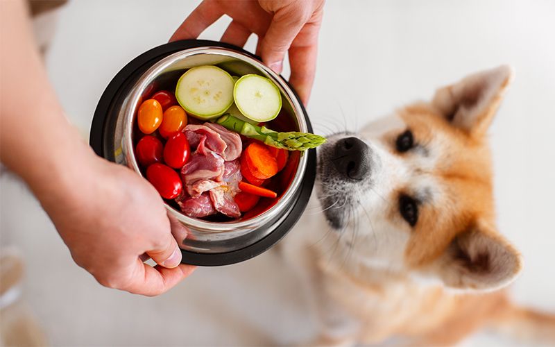 How much food should I feed my dog?